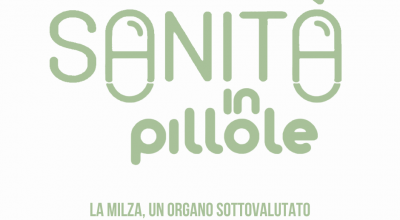 Sanità in pillole – La milza, un organo sottovalutato