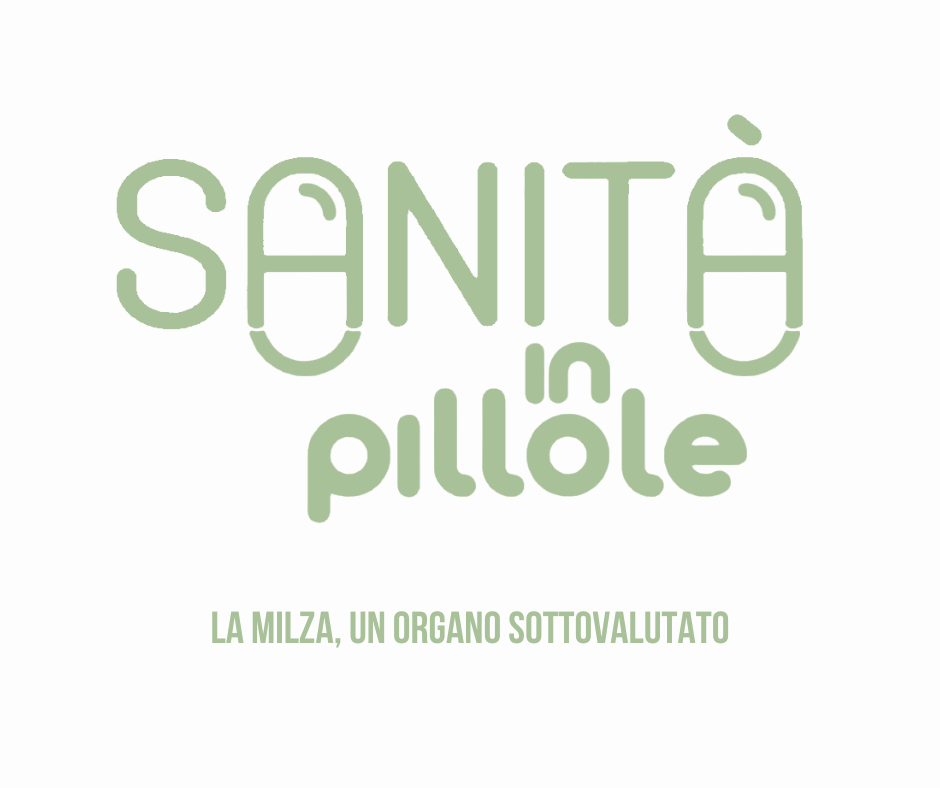Sanità in pillole – La milza, un organo sottovalutato